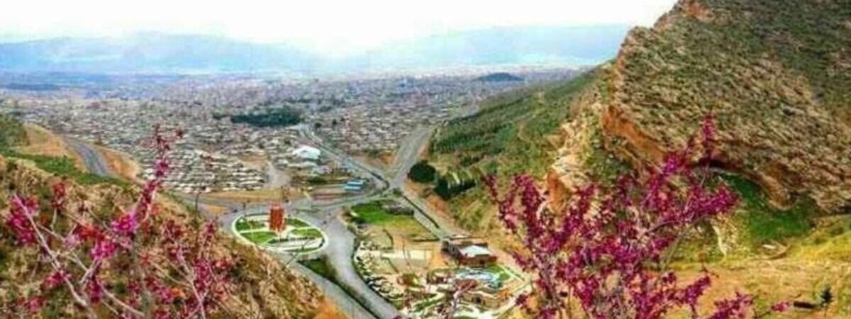 イラムから世界に届けられるペルシャ絨毯